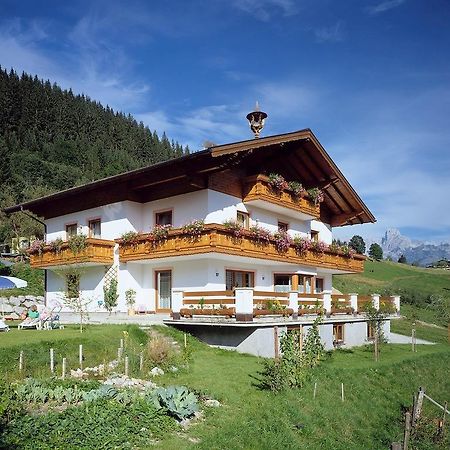 Ferienhaus Rosi Занкт-Мартін-ам-Тенненґебірґе Екстер'єр фото